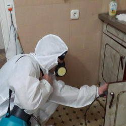 Дезинфекция от муравьев в квартире в Урае
