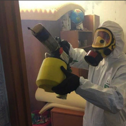 Уничтожение клопов в квартире. Урай